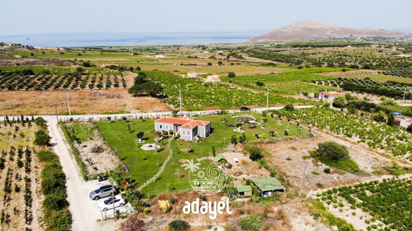 Adayel Bagevi & Butik Otel Бозджаада Экстерьер фото